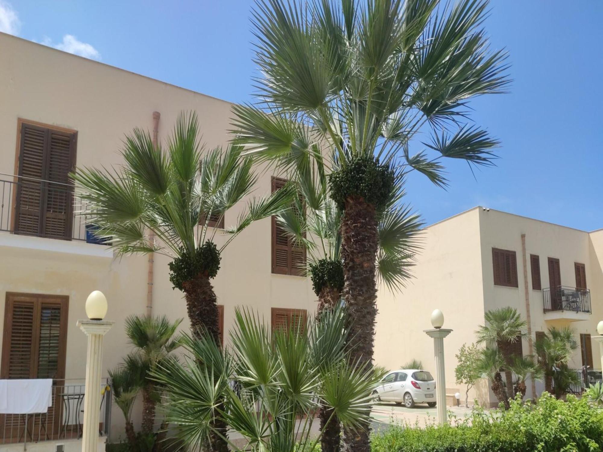 Appartamento Valentina San Vito Lo Capo Exteriör bild