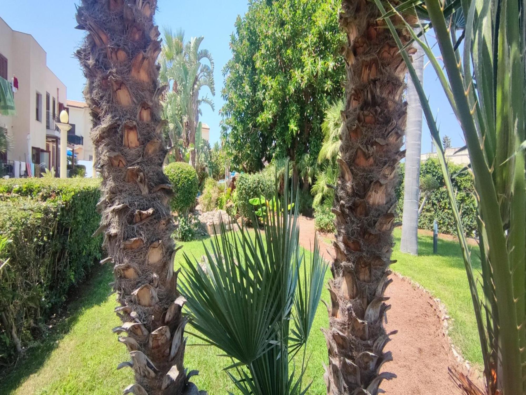 Appartamento Valentina San Vito Lo Capo Exteriör bild